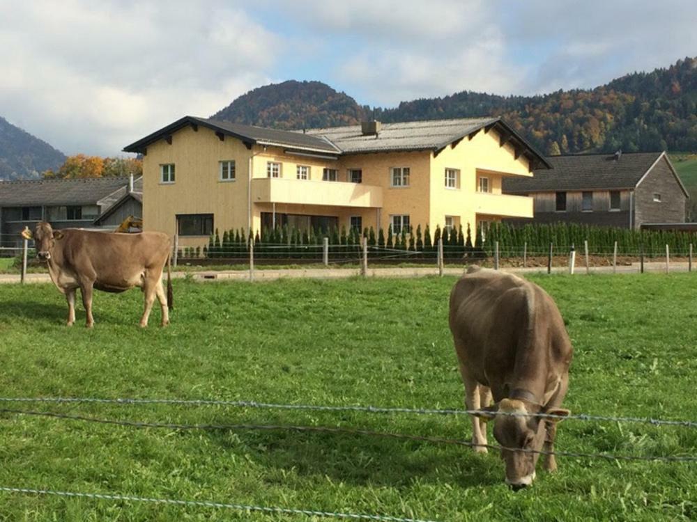 Ferienwohnung Thannen Lingenau Kültér fotó